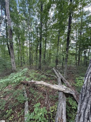 00 Daves Valley Road Pickens SC 29671