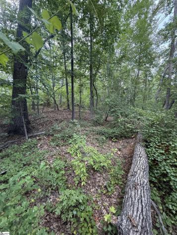 00 Daves Valley Road Pickens SC 29671