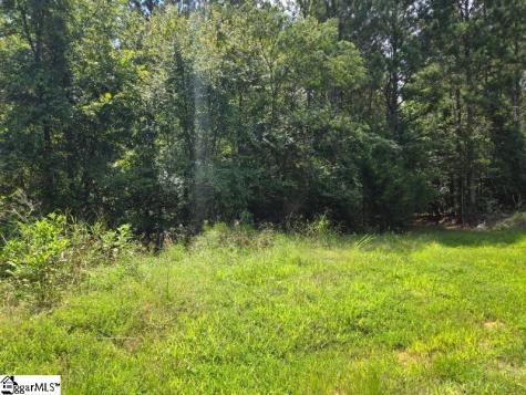 00 Shrine Club Road Waterloo SC 29384