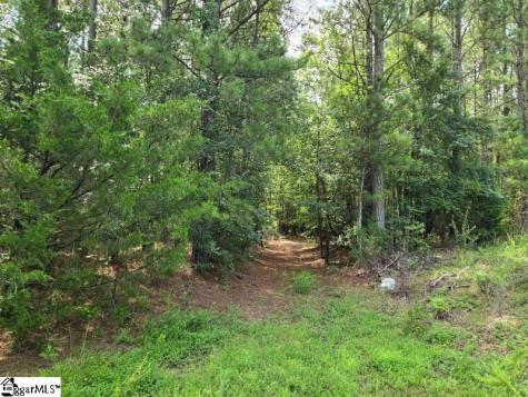 00 Shrine Club Road Waterloo SC 29384