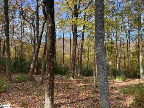 1526 Panther Park Trail Travelers Rest SC 29690