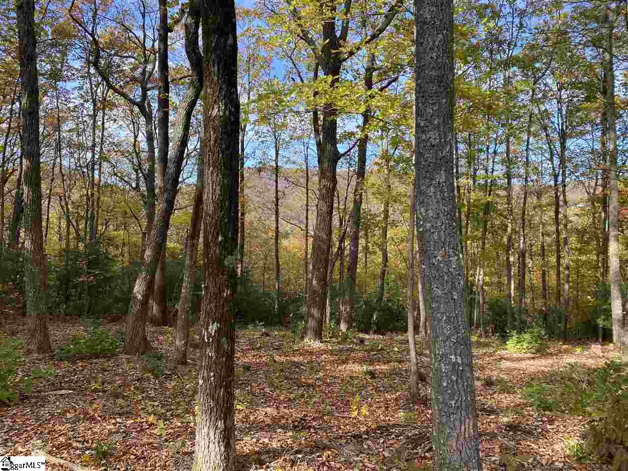 1526 Panther Park Trail Travelers Rest SC 29690