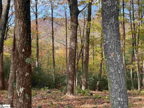 1526 Panther Park Trail Travelers Rest SC 29690