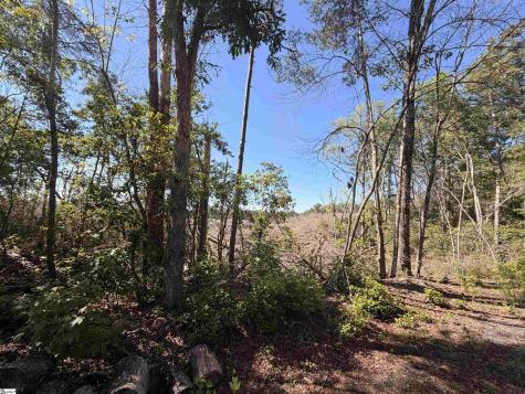 309 Knox Creek Road Tamassee SC 29686