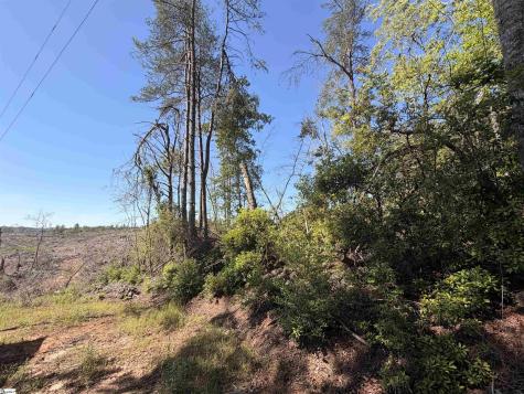 309 Knox Creek Road Tamassee SC 29686