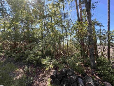 309 Knox Creek Road Tamassee SC 29686