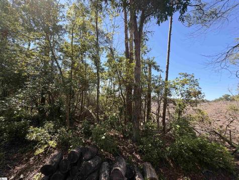 309 Knox Creek Road Tamassee SC 29686