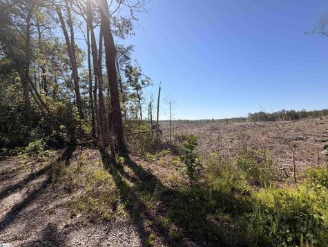309 Knox Creek Road Tamassee SC 29686