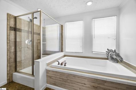 155 Reining Way Fountain Inn SC 29644