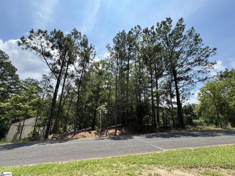00 Serene Drive Waterloo SC 29384