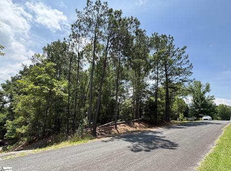 00 Serene Drive Waterloo SC 29384