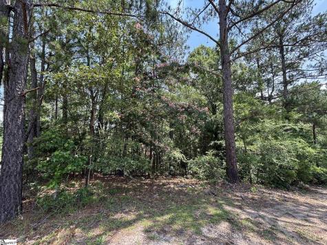 00 Serene Drive Waterloo SC 29384