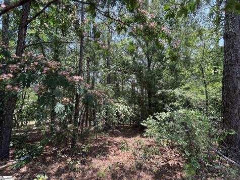 00 Serene Drive Waterloo SC 29384