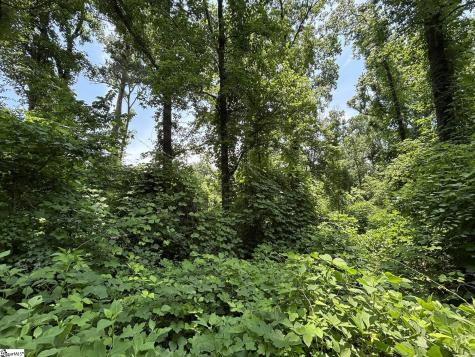 00 Serene Drive Waterloo SC 29384