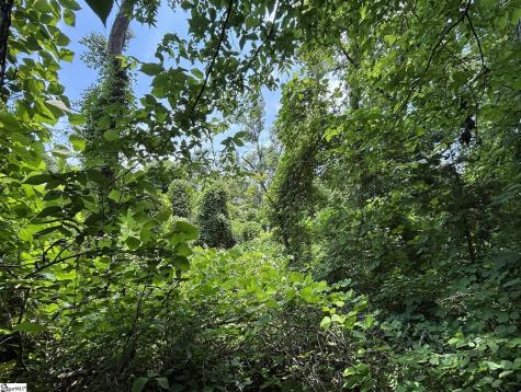 00 Serene Drive Waterloo SC 29384