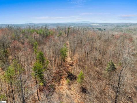 00 Burns Road Travelers Rest SC 29690