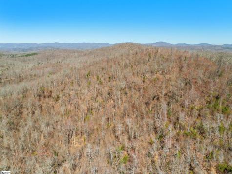 00 Burns Road Travelers Rest SC 29690