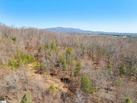 00 Burns Road Travelers Rest SC 29690