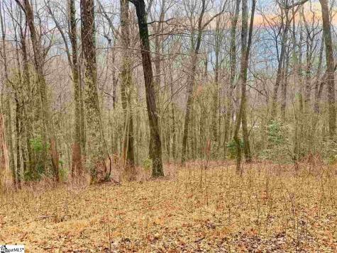 15 Day Lily Road Landrum SC 29356