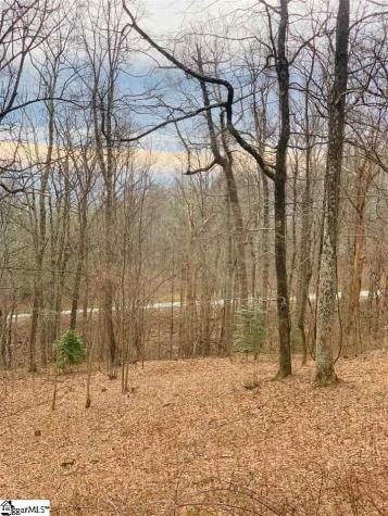 15 Day Lily Road Landrum SC 29356