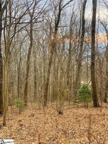 15 Day Lily Road Landrum SC 29356