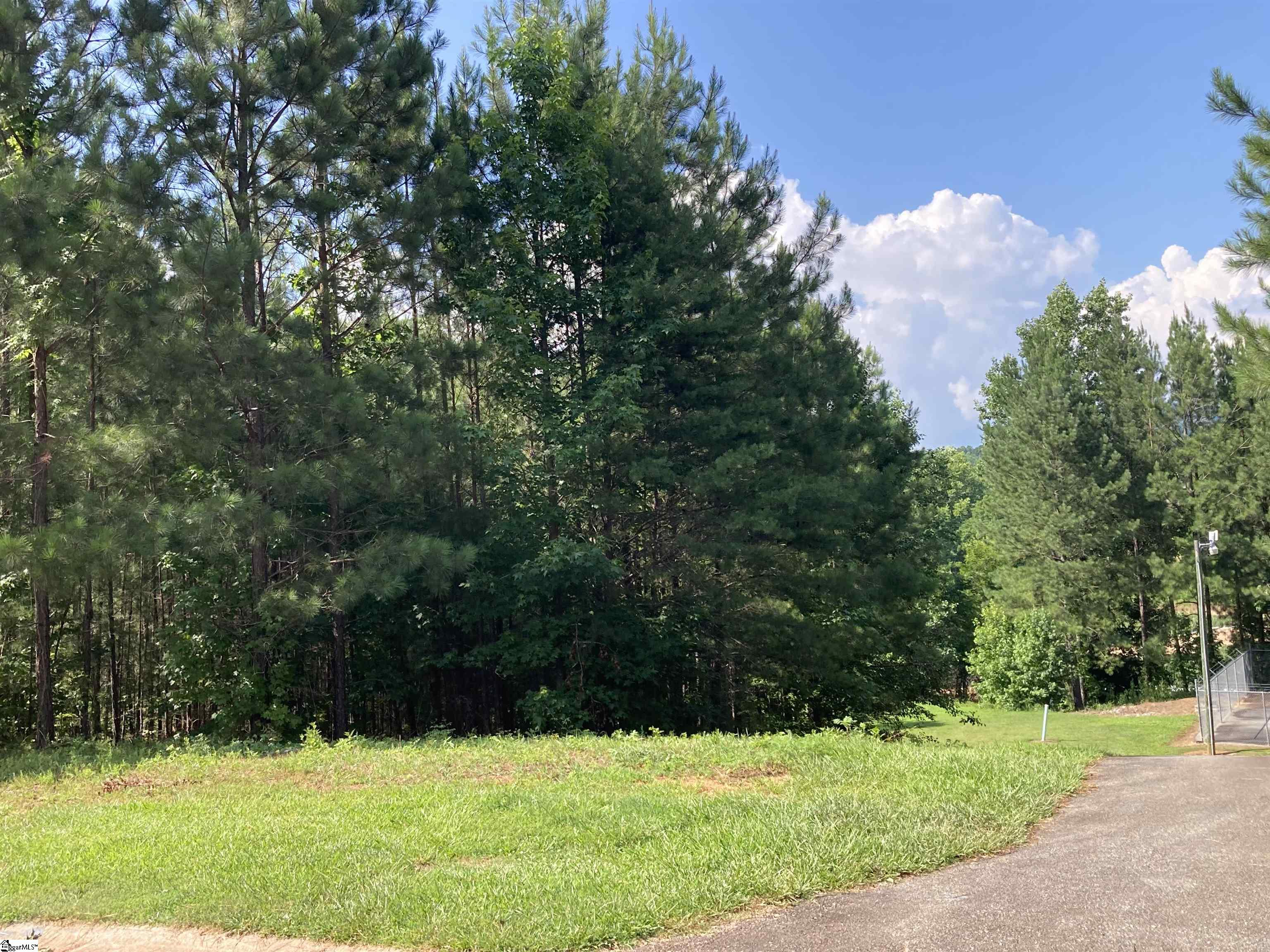 308 Wedge Way Travelers Rest SC 29690
