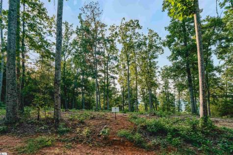 200 Chestnut Mountain Road Travelers Rest SC 29690