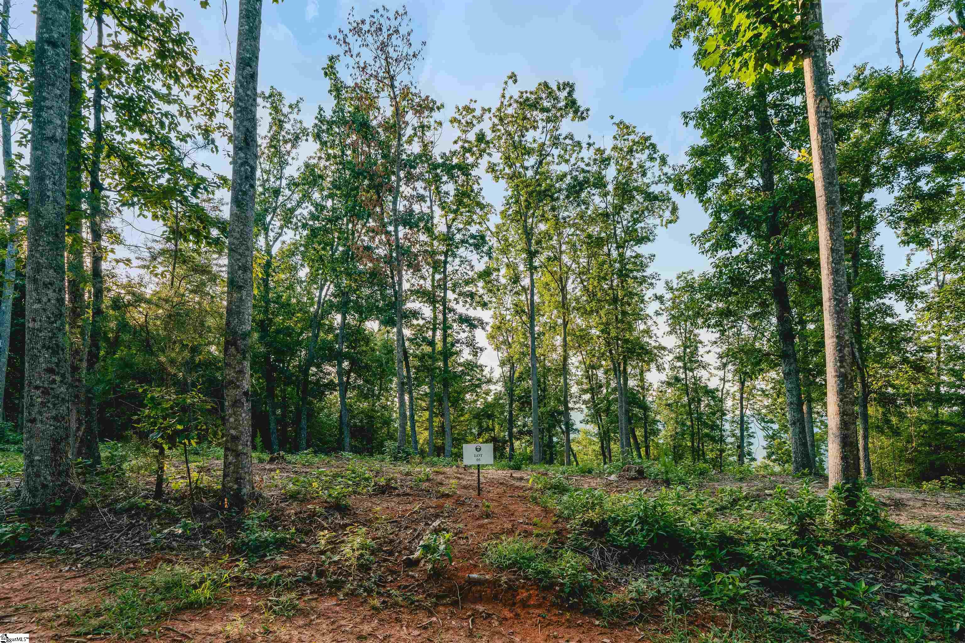 200 Chestnut Mountain Road Travelers Rest SC 29690