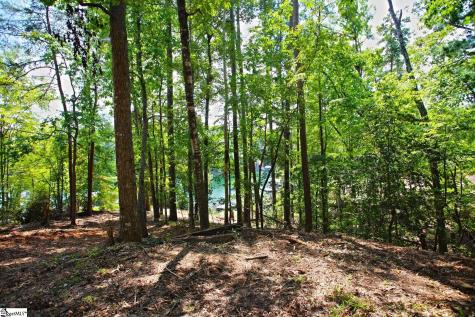 590 Old Chapman Bridge Road Salem SC 29676