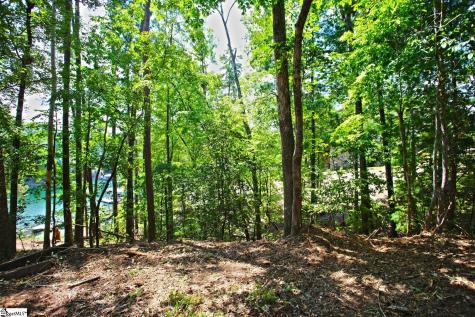 590 Old Chapman Bridge Road Salem SC 29676