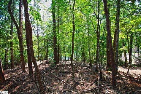 590 Old Chapman Bridge Road Salem SC 29676