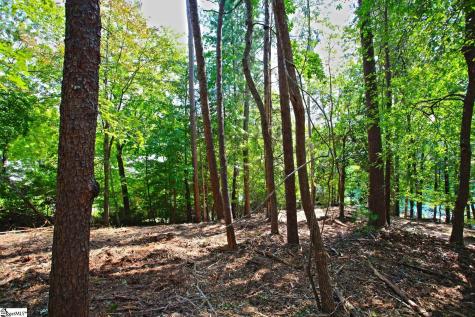 590 Old Chapman Bridge Road Salem SC 29676
