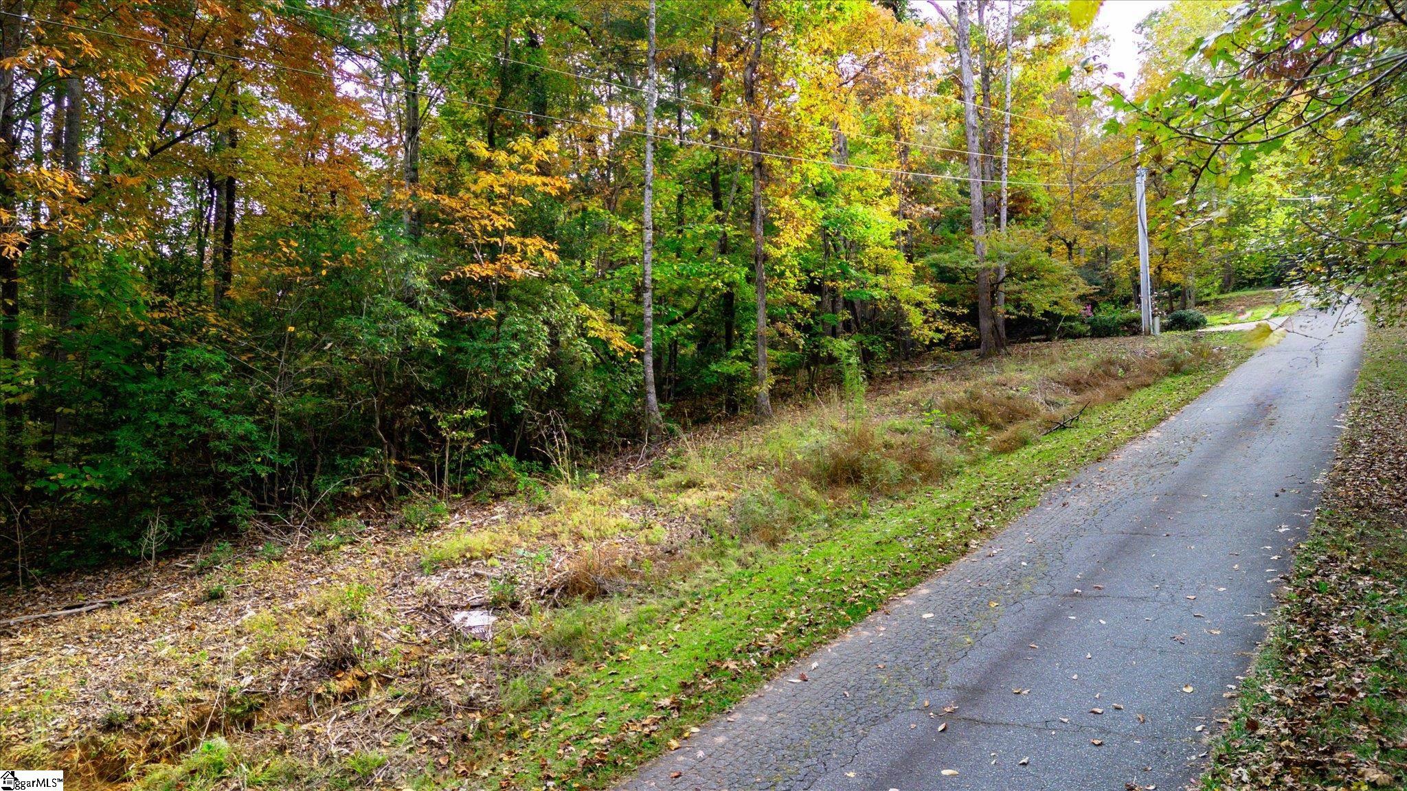 0 Belvoir Drive Pickens SC 29671