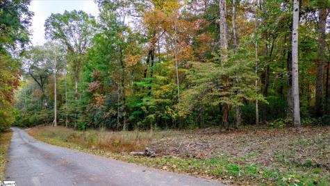 0 Belvoir Drive Pickens SC 29671