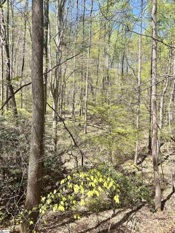 00 S Us - 25 Highway Travelers Rest SC 29690