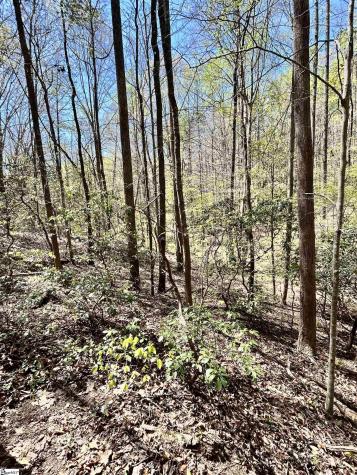 00 S Us - 25 Highway Travelers Rest SC 29690