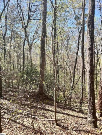 00 S Us - 25 Highway Travelers Rest SC 29690