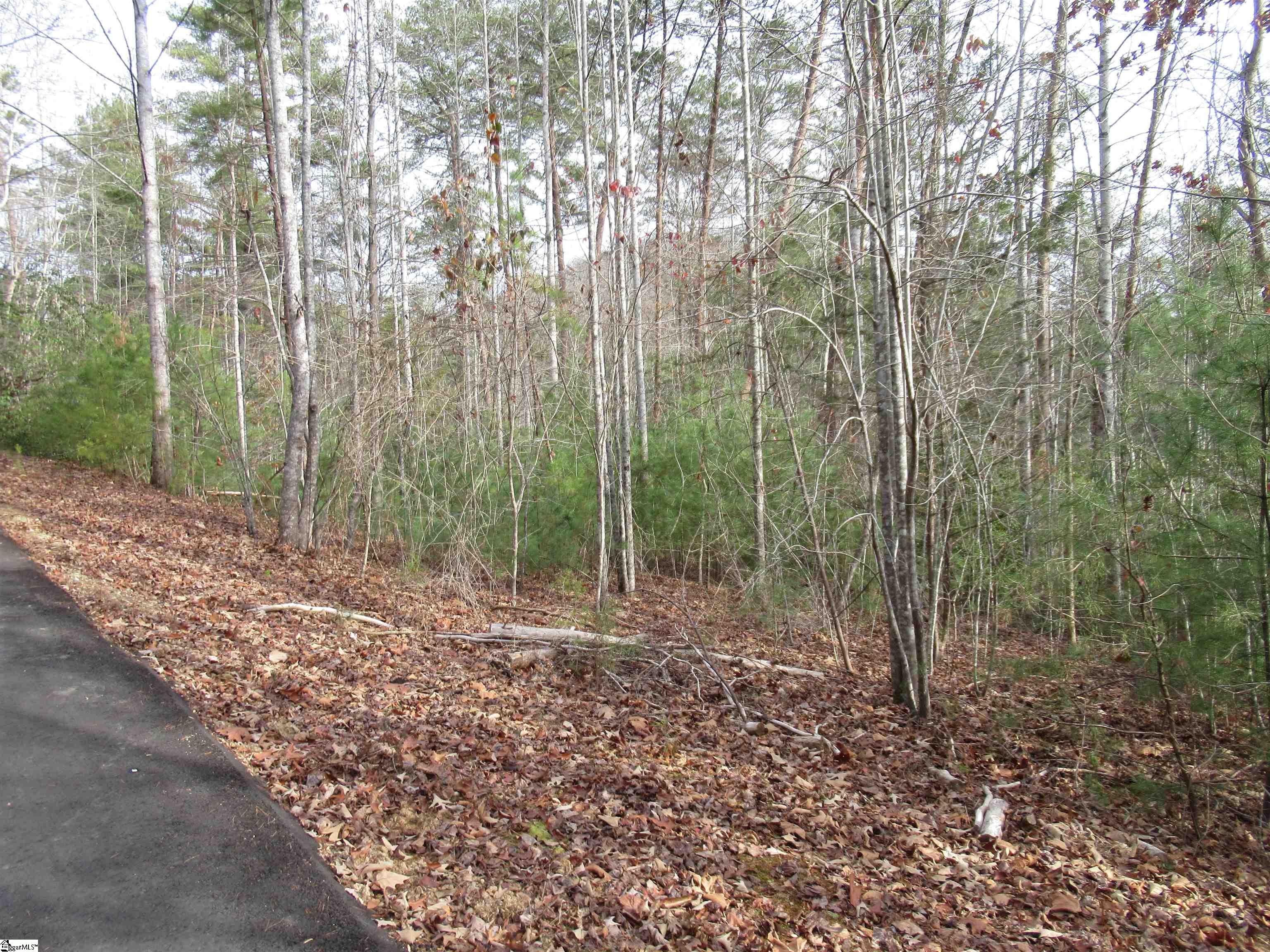 110 Fireside Lane Pickens SC 29671