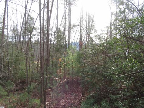 110 Fireside Lane Pickens SC 29671