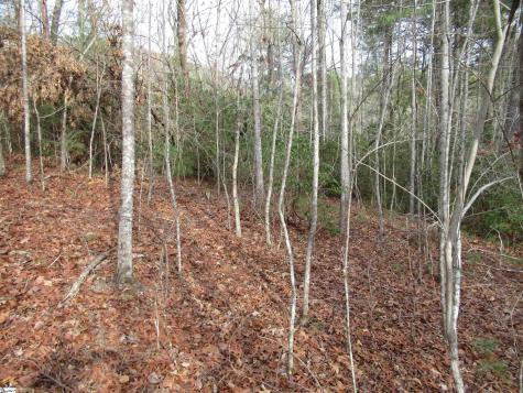 110 Fireside Lane Pickens SC 29671