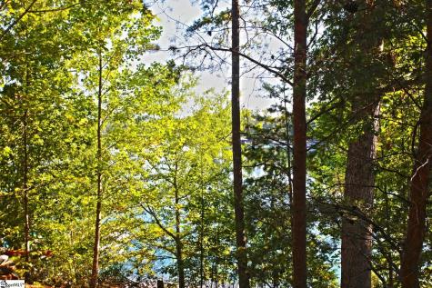120 Vaughn Court Six Mile SC 29682