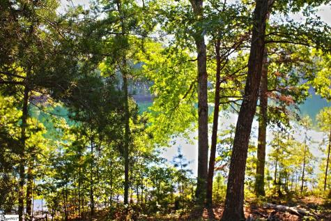 120 Vaughn Court Six Mile SC 29682