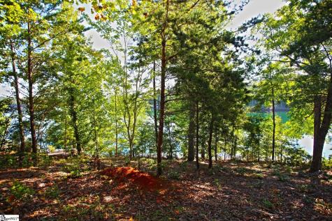 120 Vaughn Court Six Mile SC 29682