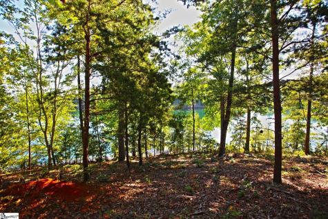 120 Vaughn Court Six Mile SC 29682
