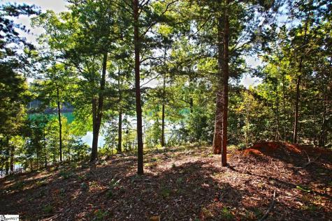 120 Vaughn Court Six Mile SC 29682