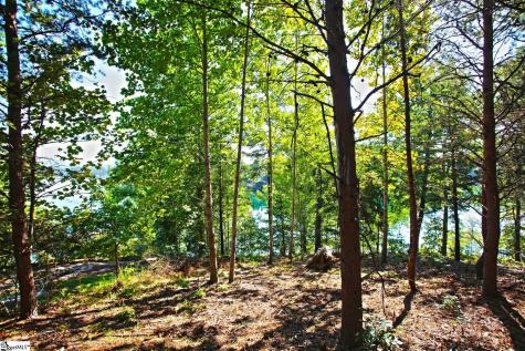 120 Vaughn Court Six Mile SC 29682