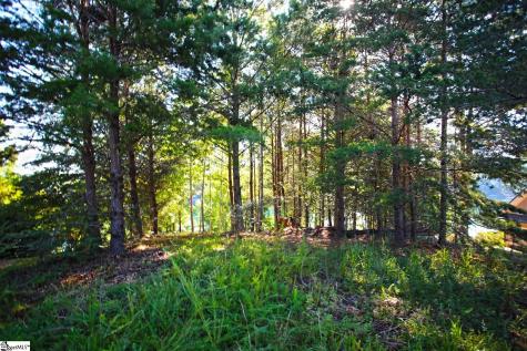 120 Vaughn Court Six Mile SC 29682