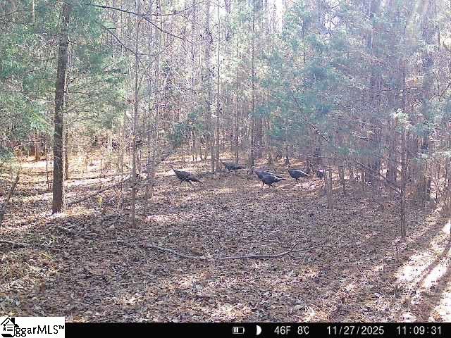 00 Simpson Mill Road Laurens SC 29360