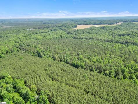 00 Simpson Mill Road Laurens SC 29360