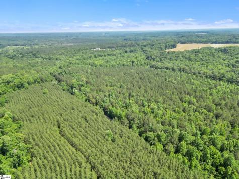 00 Simpson Mill Road Laurens SC 29360
